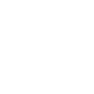 LOGSHYBRICKS